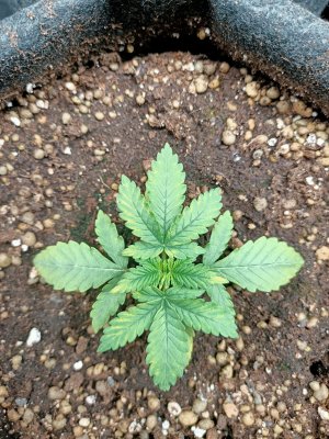 WhatsApp Image 2022-06-03 at 02.00.38 (1).jpeg