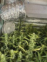 2 — копия.jpg