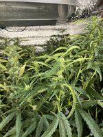 4 — копия.jpg