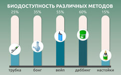 Chto-takoe-biodostupnost__uOjTaG7UmsyV7qz5.jpg