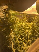 1 — копия — копия.jpg