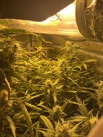 3 — копия — копия.jpg