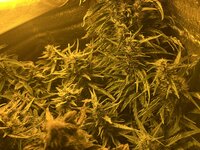 5 — копия — копия.jpg