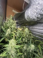 4 — копия.jpg