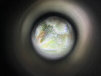 2 — копия.jpg