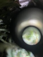 6 — копия.JPG