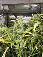 5 — копия.JPG