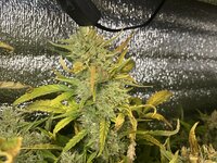 8 — копия.JPG