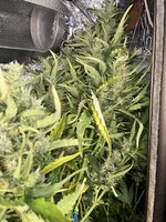 10 — копия.JPG