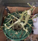 2 — копия.JPG