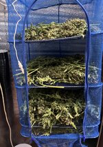 4 — копия.JPG