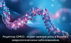 gpr55-borba-s-nevrologicheskimi-zabolevaniyami__Z0X9F3SotGdvdlRg.jpg
