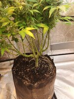 2026-04-20 221508.jpg