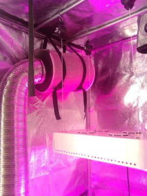 IMG_2022-06-16-09-36-07-220 (1).jpg