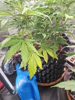 20260529_184859.jpg