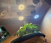 IMG_3301.jpeg