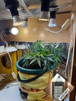 IMG_3308.jpeg