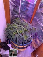 IMG_3311.jpeg