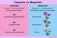 IMG_6196.jpeg
