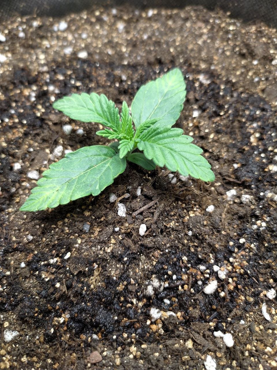 ph1 — копия.jpg