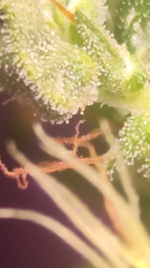 2022-6-22 21-9-30.jpg