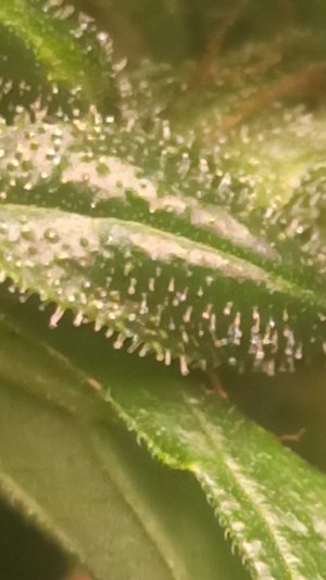 2022-6-22 21-8-50.jpg