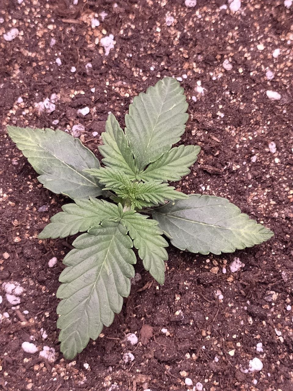 photo — копия.jpg