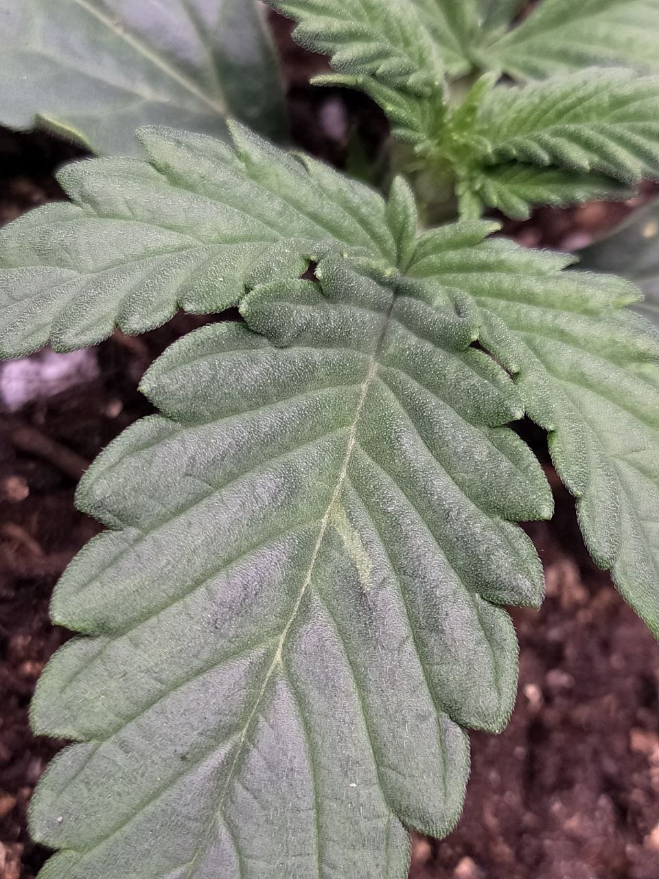 photo3 — копия.jpg