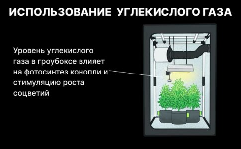 Углекислый газ для конопли 