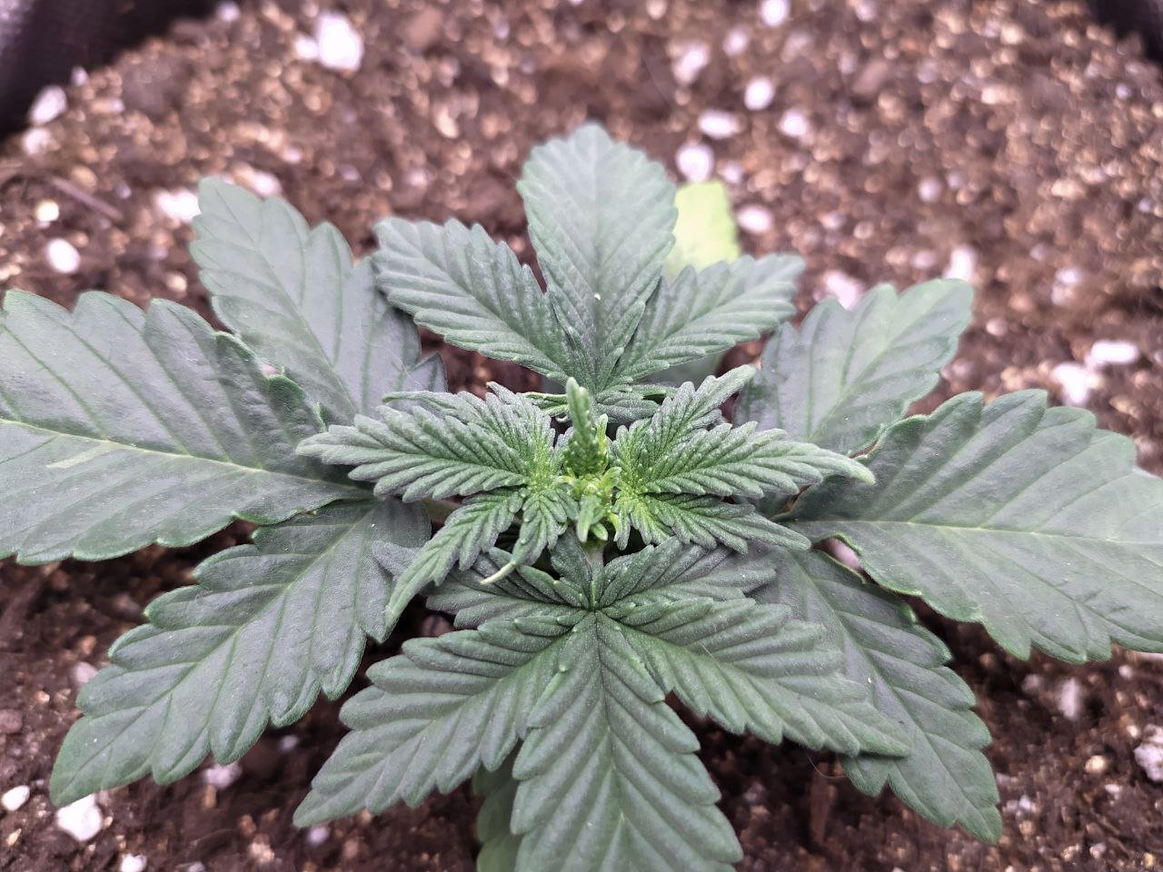 photo1 — копия.jpg