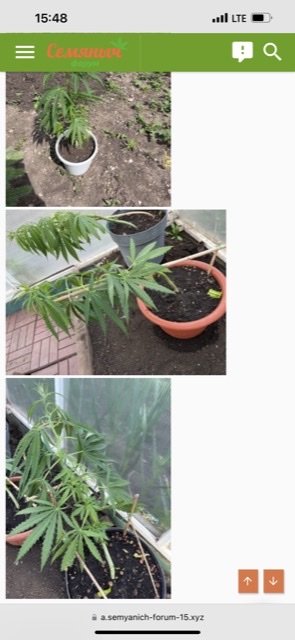 7078BF3E-1170-4002-B3DA-8C706DBA84EA.jpg 7078BF3E-1170-4002-B3DA-8C706DBA84EA.jpg