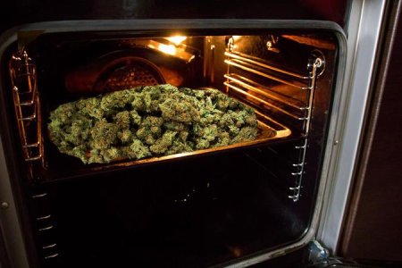 сушка и пролечка конопли