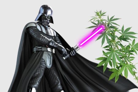 ДНаТ лампы для конопли