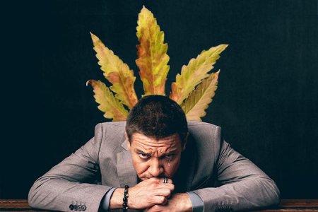 Болезни конопли