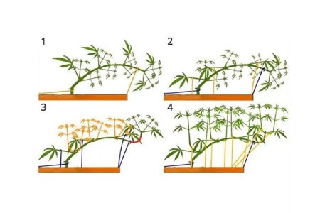 пошаговая инструкция LST подгиба