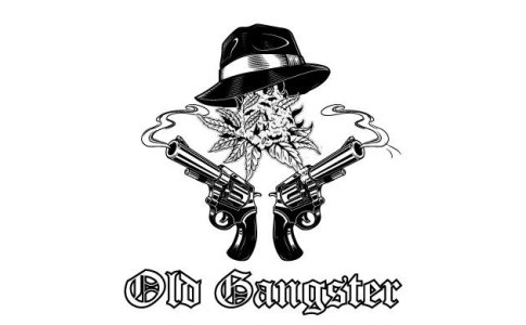 Сорт конопли OG Kush