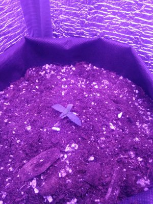 photo_2022-07-17_13-00-19 (2).jpg