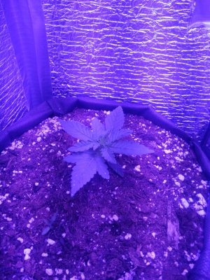 photo_2022-07-24_09-59-55 (2).jpg