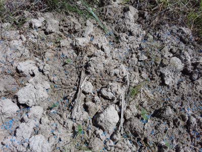 Twisted Helix(5).jpg