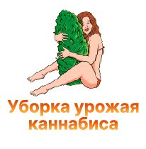 39-bojya-korovka копия 37-100.jpg