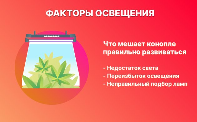 Неправильное освещение