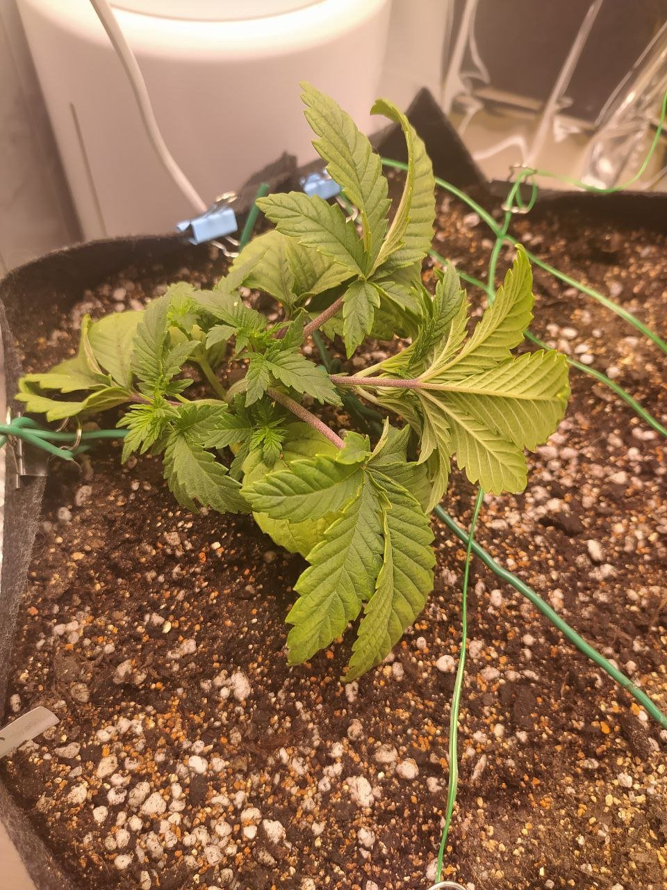 ph1 — копия.jpg