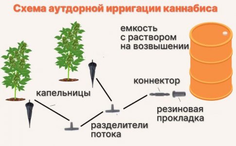 Можно ли использовать ирригационную систему для выращивания в аутдоре?