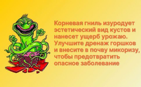 Корневая гниль