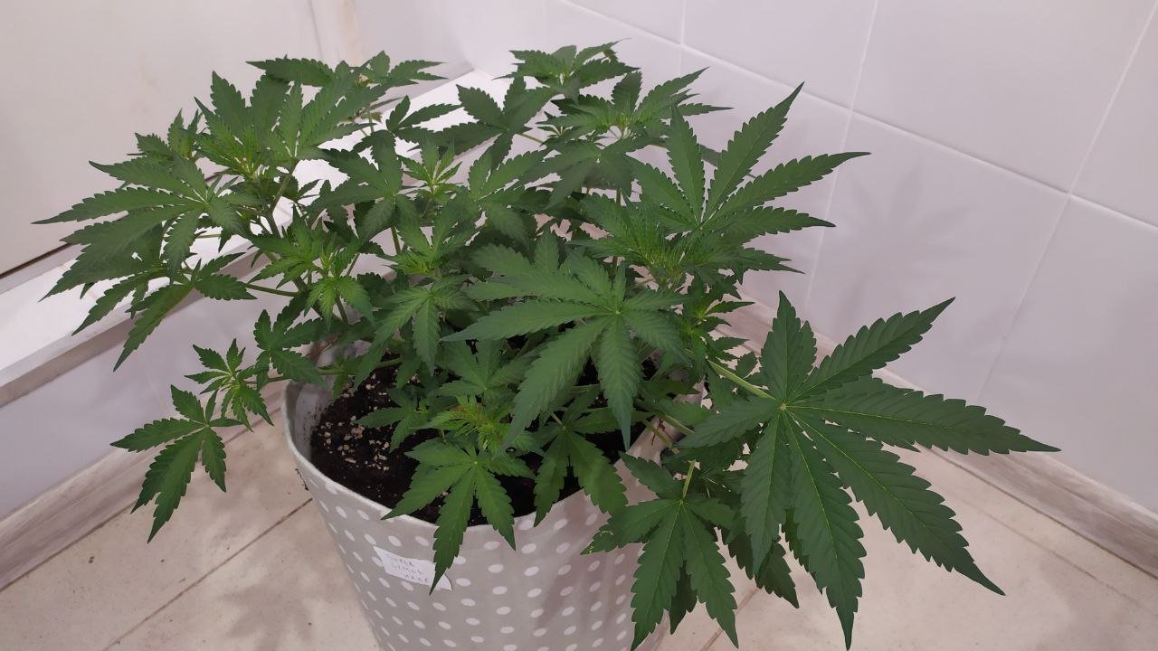 photo_2022-09-30_09-03-52 (2).jpg