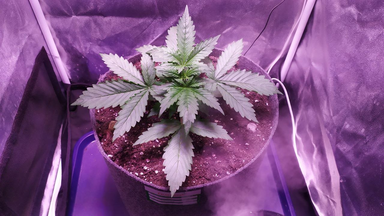 photo_2022-10-05_14-20-00 (2).jpg