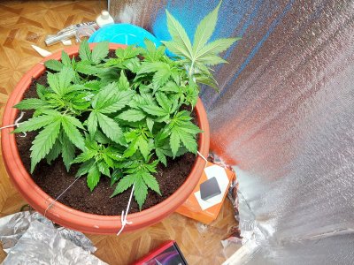 27 день LST3.jpg