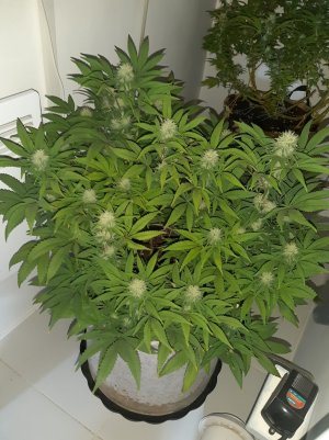 20221010_220554.jpg 20221010_220554.jpg