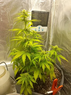 image-2021-04-04 19_07_46.jpg