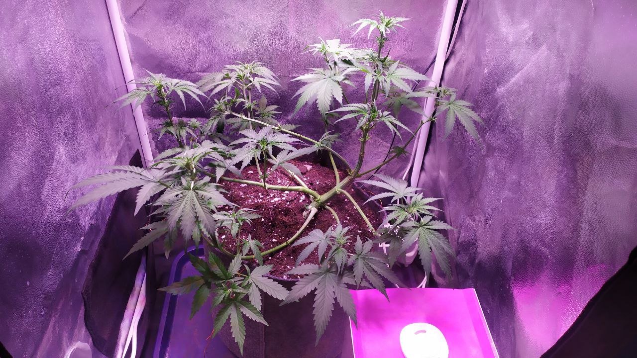 photo_2022-10-20_20-37-37 (2).jpg